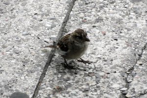 Przyroda wokół Muzeum 2 