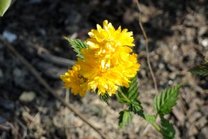 Przyroda wokół Muzeum 20 
