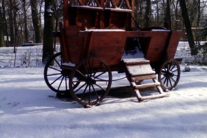Przyroda wokół Muzeum 27 