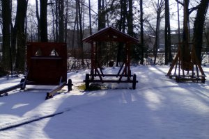 Przyroda wokół Muzeum 28 