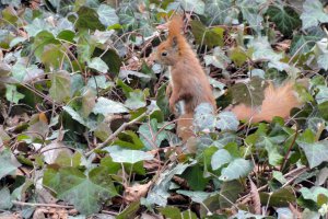 Przyroda wokół Muzeum 3 