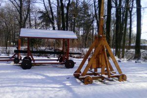 Przyroda wokół Muzeum 30 