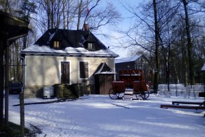 Przyroda wokół Muzeum 31 