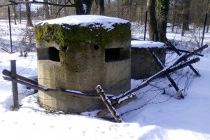 Przyroda wokół Muzeum 32 