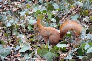Przyroda wokół Muzeum 4 