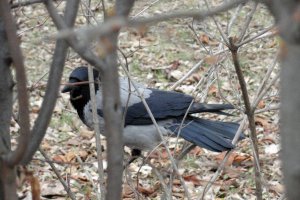 Przyroda wokół Muzeum 5 