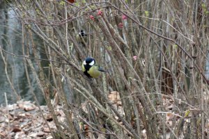Przyroda wokół Muzeum 7 